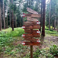 Mal wieder ein Schilderwald