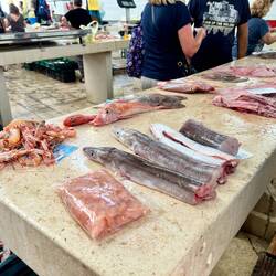 Green Market mit Frischfisch