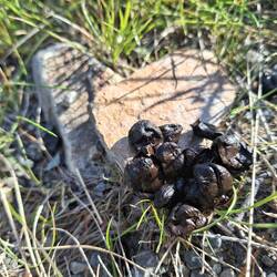 Konnte leider nur den Abgang fötele. ..