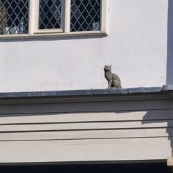 York Lucky Cats Trail