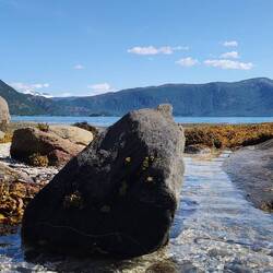 ... der wunderschönen Landschaft.......