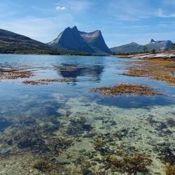 ... verzaubern lassen.