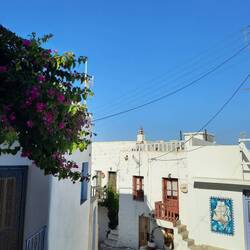 Plaka