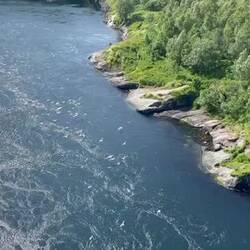 Tidenstrom bei Bodø!