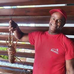 Erfolgreicher Hummerfang