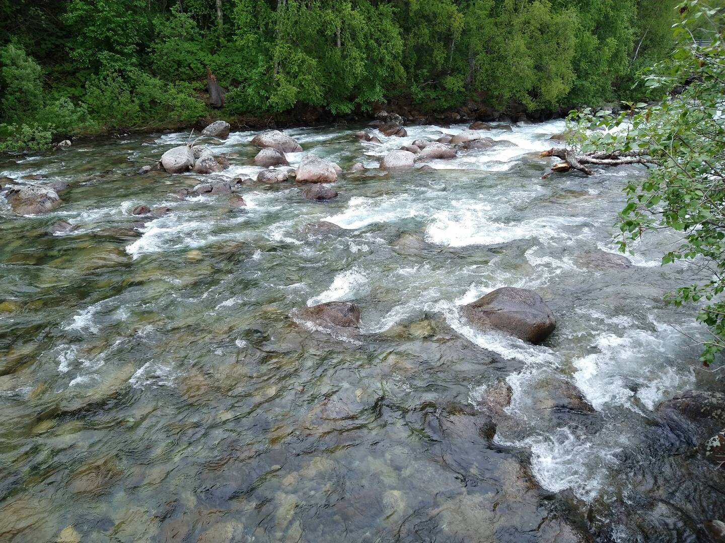 Little Susitna River