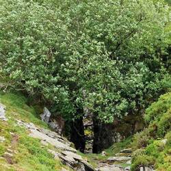 Quarry remains near Mean Penddu