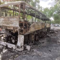 Die Bäume daneben sind auch verkohlt