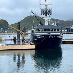 Lots of fishing boats