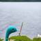 Oh shit the loch ness monster