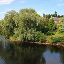 Der oder die, auf jeden Fall the Tay