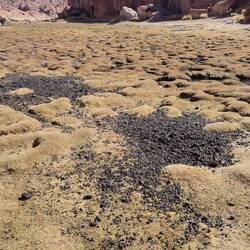 Das ist wohl das Klo