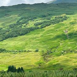 Hills along the Strath Fallin