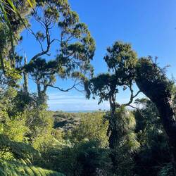 Ship Creek Trail