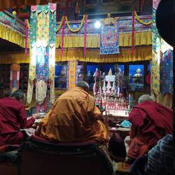 Mit Mönchen meditieren