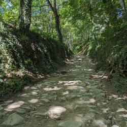 Shady and cool, Galicia