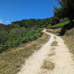 León side of the ridge