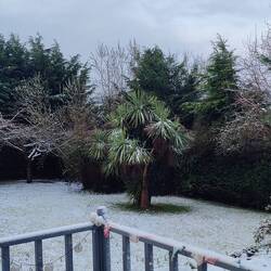 Blick in unseren verschneiten Garten