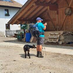 ... wurde ich heimtückisch von hinten angeknabbert