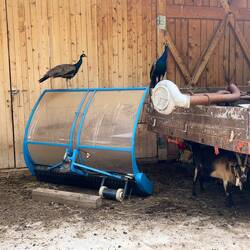 Während ich die 3er Gang fotografierte...