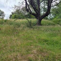 Inside the Hill 60 crater.