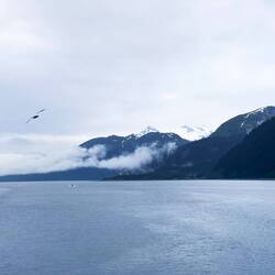 Resurrection Bay behind us as we approach Seward, Alaska.