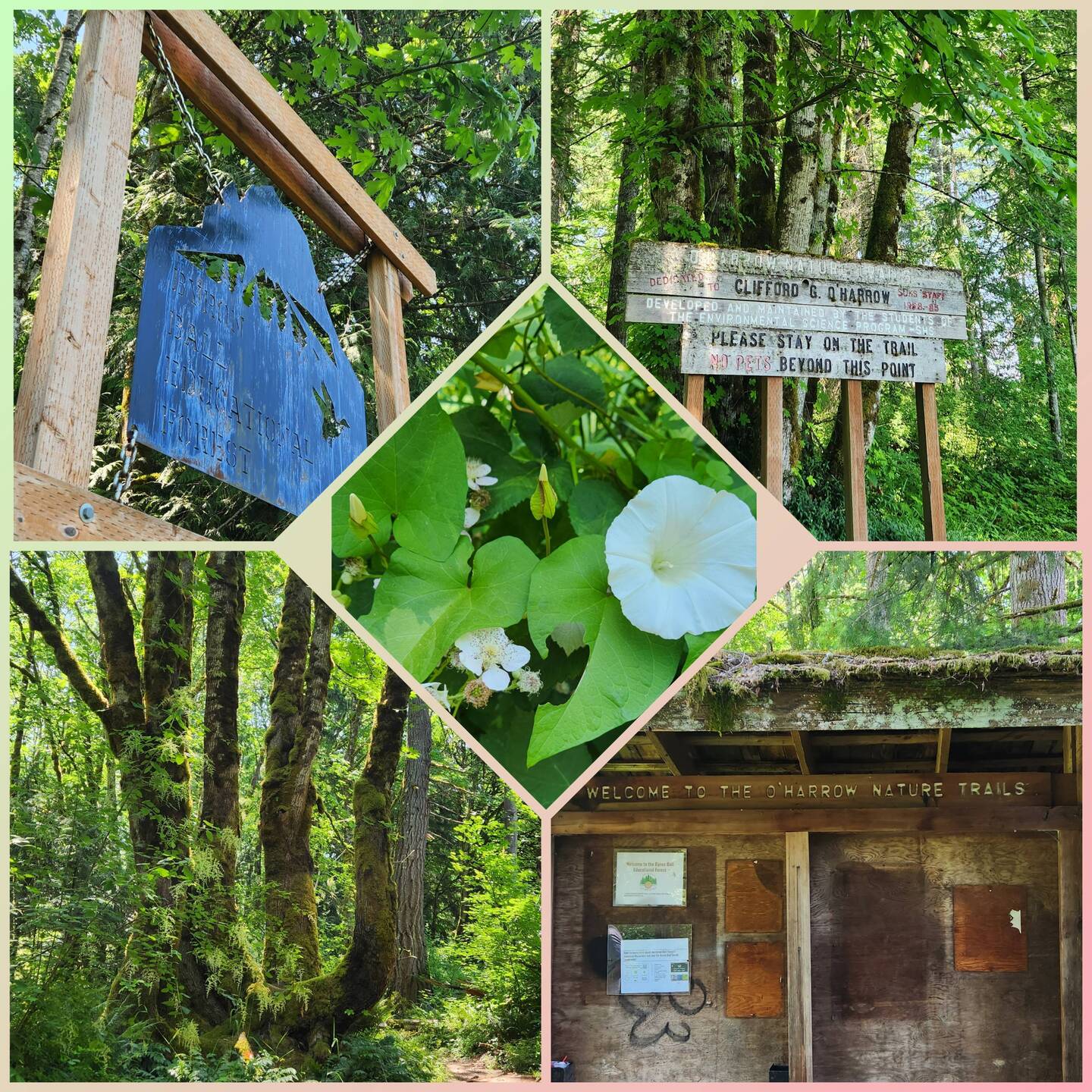 Sandy High School Nature Trail
