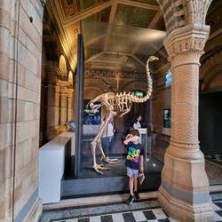 Check out the size of this prehistoric bird.