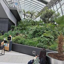 Part of the indoor gardens