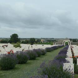 Looking down the cemetery and across the battlefield to Messines.