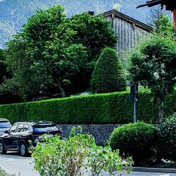 Wer sieht das Gipfelkreuz?