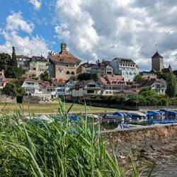 Blick vom Ufer des Murtensees
