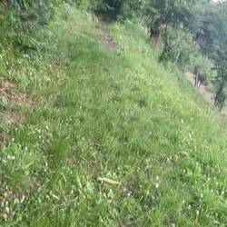 Die beiden haben Salami bekommen und dann hab ich sie mit dem Stock verscheuchen müssen