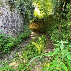 Das war nur ein weg, leider nicht mein weg