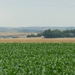 Somme battlefields near Albert.