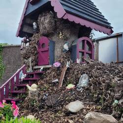 was man aus einem alten Baum machen kann!👍