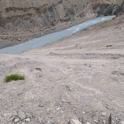 ...nur nicht nach unten schauen