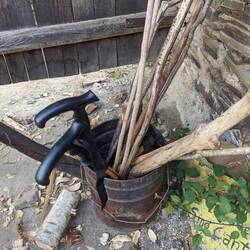 Sticks back into the free-o-verse