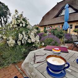 1.Kaffee im Rosengarten