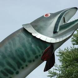 Huskie the Muskie is the nickname of a 40-foot-tall (12 m) outdoor sculpture depicting a muskellunge