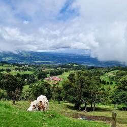 Blick Richtig San Jose