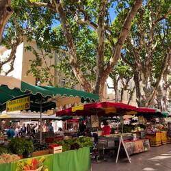 שוק צרפתי חמוד