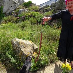 man beachte die Hunde Leine😂👍