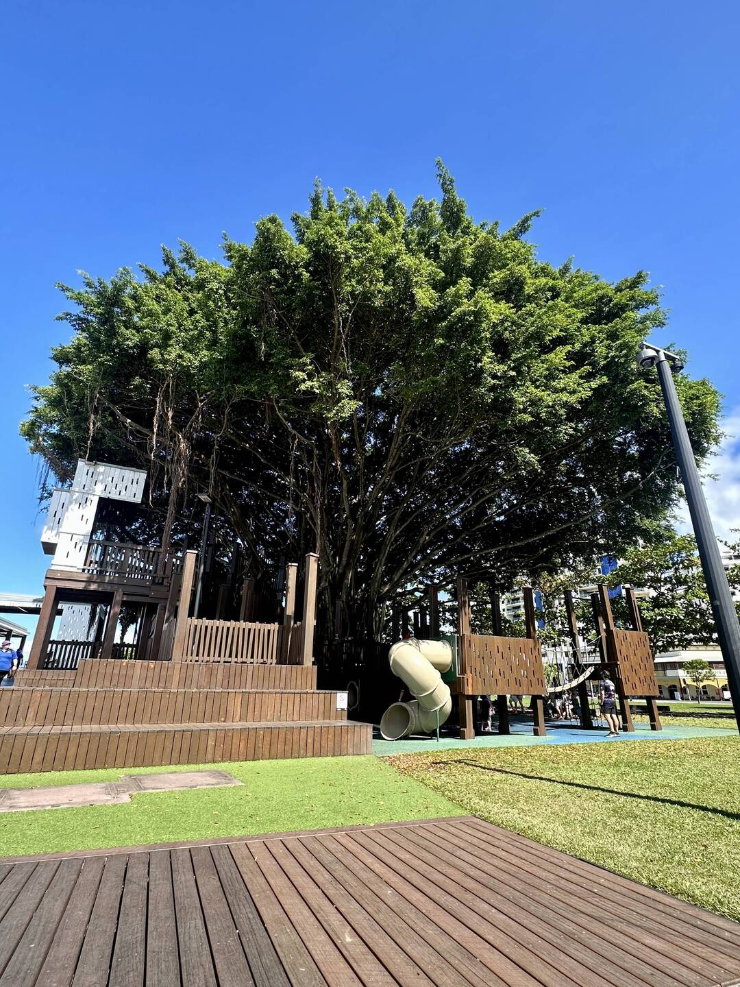 Fig Tree Park