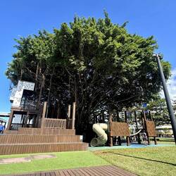 Fig Tree Park