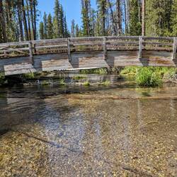 Standing in the ice cold Silent Stream for photo