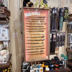 Wizard wands. It's an Oxford thing...