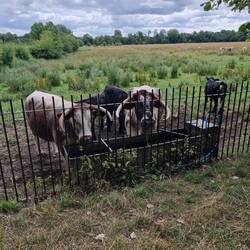 The last thing I expected to see.