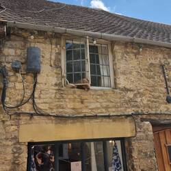 Not a happy Labrador this fella.