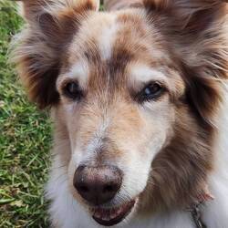 Nila sieht man die Freude auch an😀